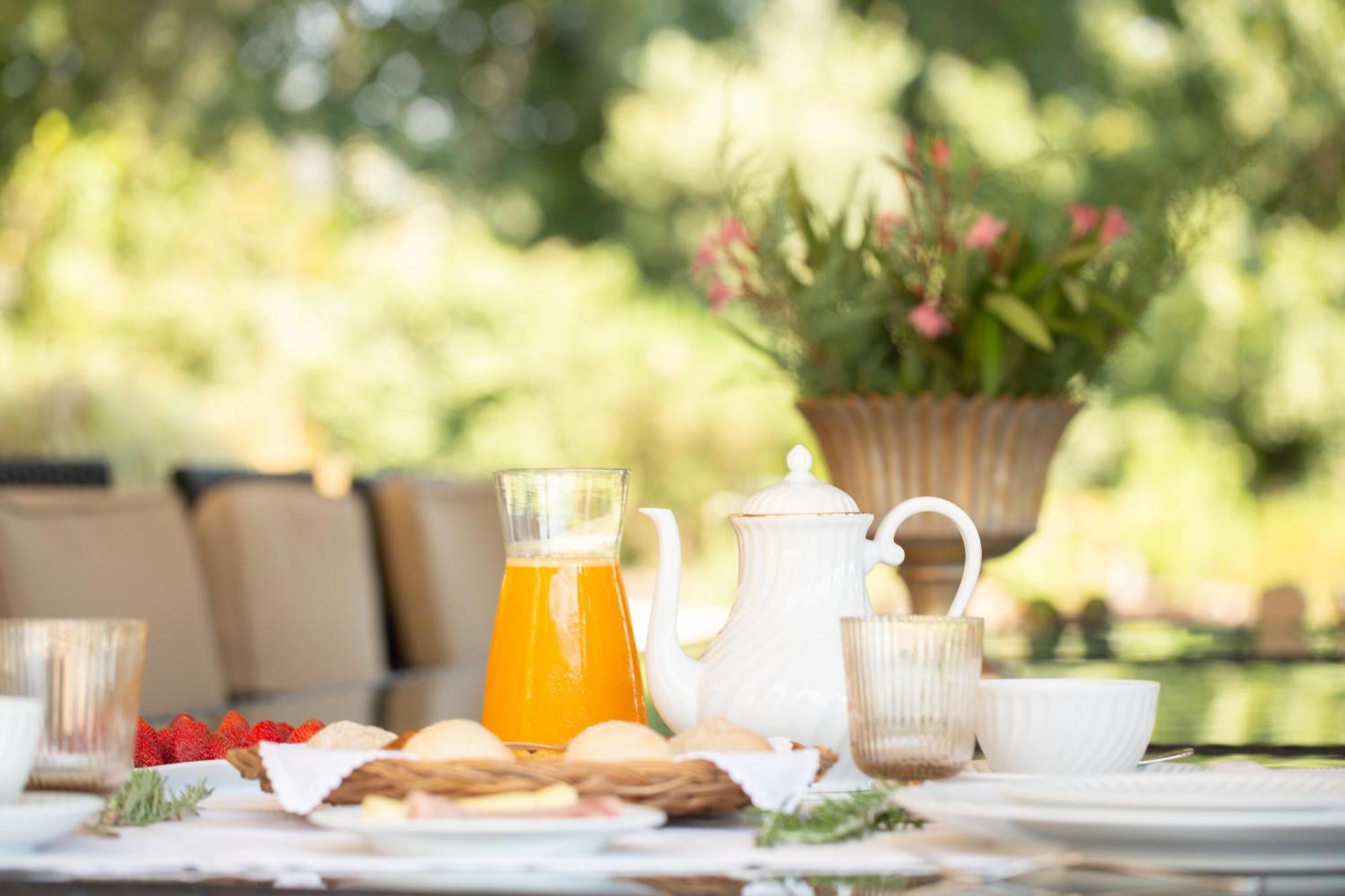 The Fox House - Private Villa & Nature Sao Pedro do Sul Luaran gambar