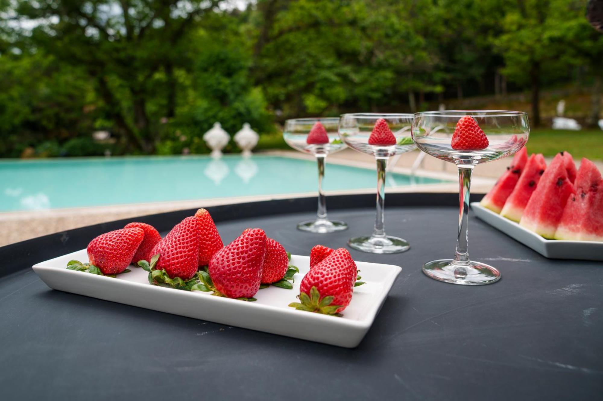 The Fox House - Private Villa & Nature Sao Pedro do Sul Luaran gambar