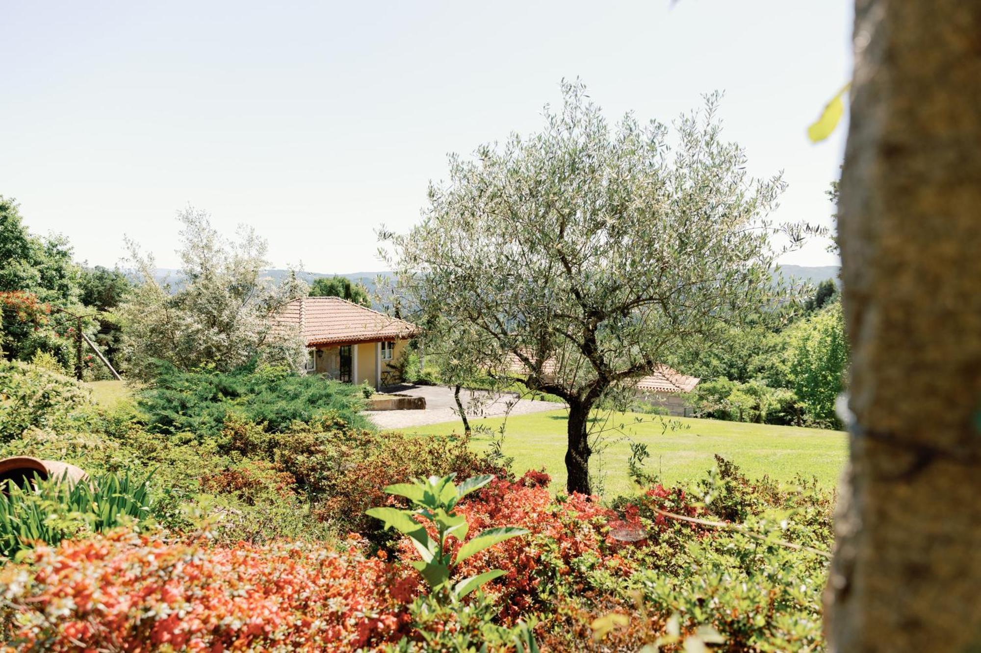 The Fox House - Private Villa & Nature Sao Pedro do Sul Luaran gambar